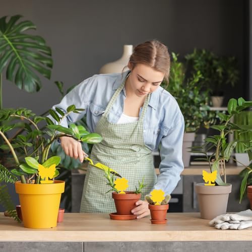 20 st Gele Begrafenis Gnats Control Stickers Vlieg Trap Gele Lijm Trap, Begrafenis Gnats Control voor gele panelen voor binnen planten Pest controle 3