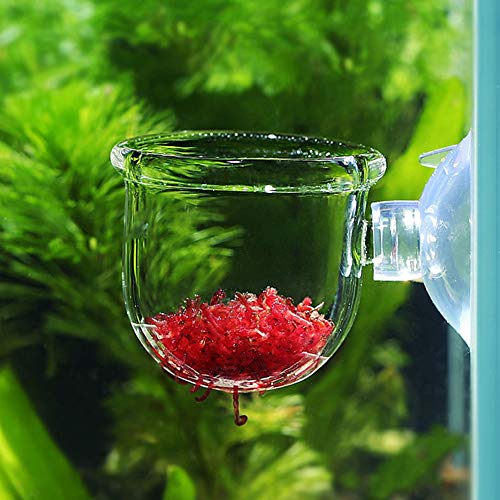 Voeden Container Aquarium Voederbeker, Aquarium Voeder, Aquarium Vissen voor Kleine Tropische Vis Houeshold voor Waterwormen(Glas gap cup)