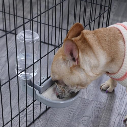 Hondenkooi Waterfles, Hondenwater Dispenser, 480ml Honden Drinkfles, Honden Drink Fontein, Automatische Water Bowl voor Kat Honden Konijn, Dier (Grijs) 5
