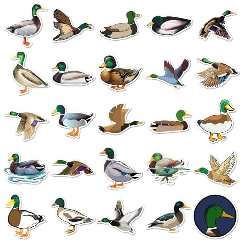 50 stuks Duck Stickers voor tieners Volwassenen Cartoon Green Duck Waterproof Vinyl Sticker Set Auto Motorfiets Fiets Skateboard Snowboard Bagage Laptop Koffer Helm Motorfiets Motorrijwiel 3