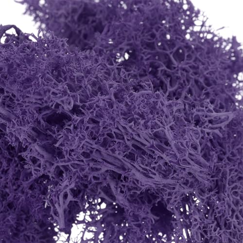 95ml Valse Mos, Geconserveerde Rendier Mos Kunstmos Lichens Centerpieces Decor Faux Mos voor Potted Planten Kerstmis ambachten, Donker Paars 4