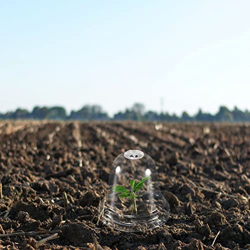 10,5 cm Tuin Bell Dome 10 Packs Ronde Plastic Vochtbescherming Plantenbescherming Hoes voor Garden Greenhouse Clear 5