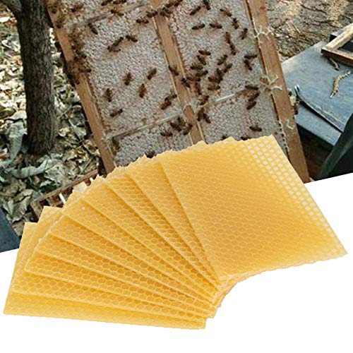 10 stuks bijenwasvellen, bijenwas honingraatvellen Wax Foundation Bijenkorf voor het maken van kaarsen, Wax Foundation for Bee Frames (5.1 Inch X 3,5 Inch) 4