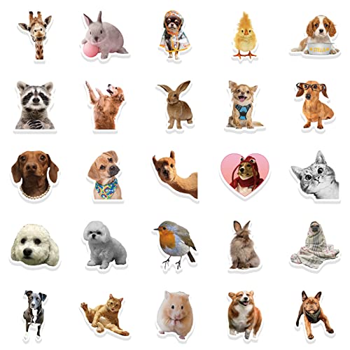 Grappige Animal Sticker Set Stickers Kinderen Tieners 50 stuks Dieren Waterdicht Vinyl Decals Laptop Skateboard Kofferhelm Autofiets mobiele telefoon Motorrijwiel Bike Scrapbook Cadeaudagboek