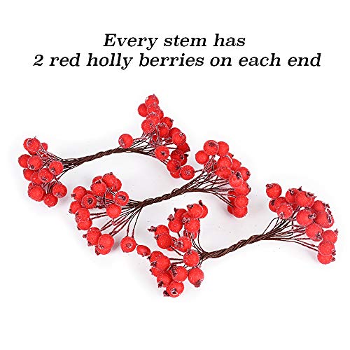 SERWOO 200 stuks Fruit Fruit Kerst Kunstbessen