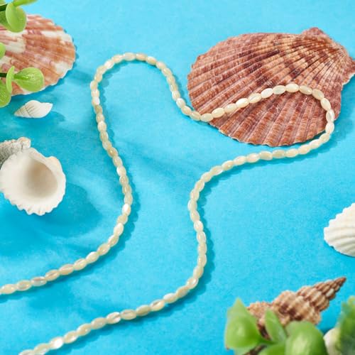 1 Strand Natural Trochus Shell Kralen Oval Seashell Kralen Losse Spacer Kralen Zomer Shell Kralen voor DIY armband ketting oorbellen sieraden maken, Pale Goldenrod 3
