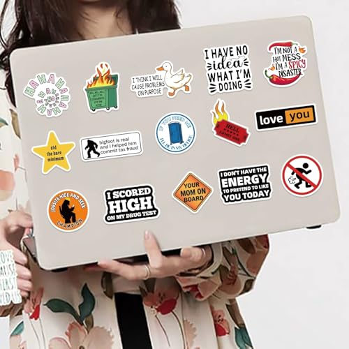 Prank Meme Stickers voor tieners en volwassenen, 100 stuks, Meme Waterdichte Vinyl Sticker Set, Auto, Motorfiets, Fiets, Skateboard, Snowboard, Bagage, Laptop, Koffer, Helm, Motorfiets