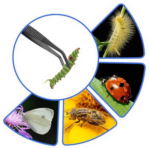 Verpakking van 2 Non-Slip gebogen Tweezers Blunt Tweezers 5.5 Inch roestvrij staal non-slip rechte Tweezers met gebogen gekartelde Rand Gebogen Tweezers voor laboratoriumwerk Waterdieren 5