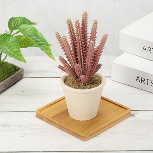 Bamboe Houten Saucer, 4 stuks 10x10cm Vierkante Houten Planten Drainer Bonsai Planten Dish Succulent Plant voor Home Balkon 4