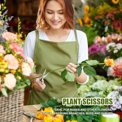 plantenschaar en snoeischaar, Kleine rechte schaar, Oogstschaar, Snoeischaar, Snoeischaar, Snoeischaar, Snoeischaar, Snoeischaar, Snoeischaar, Snoeischaar 4