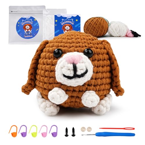 Beginner Bella haak Kit Complete Amigurumi Starter set met stap-voor-stap Video Tutorials Gift
