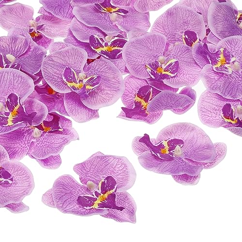 Kunstmatige Orchidee Bloemenkoppen, 40 Packs Zijde Phalaenopsis Kunstvlinder, Orchideekoppen, voor Bruiloft, Bloemen, Decoratieve Boeket, DIY, Ambachten, Productie, Verlichting