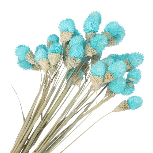 40cm gedroogde bloemen voor vaas, 30st Mini Natuurlijke Pijnboom Globe Bloemen Bulk Boeket Herfst Natuurlijke Gedroogde Pijnboom Bloemen voor thuis, Bruiloft, Bruid, Partij, Sky Blue