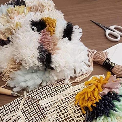 Mesh Canvas, Mesh Stof Blanco Tapijt Hooking Mesh Canvas DIY Tapijt Canvas voor Latch Hook Tapijt Canvas DIY (Mesh Cloth 50cm+ Houten Handgreep Hooked) 4