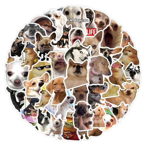 Grappige hondenstickers voor tieners en volwassenen, 50 stuks, Grappige hondenstickers Set voor auto, motor, fiets, skateboard, snowboard, bagage, laptop, koffer, helm, motorfiets, computer