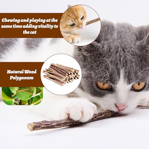 Matatabi Sticks, 30 stuks Catnip Sticks, Natural Cat Sticks, Cat Sticks, Cat Tooth Care en Tegen Mond Odor, Grinding Teeth (diameter 5-7 mm) 3