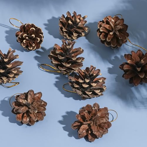Nature Pine Cones Kerstmis Pine Cones Ornament met Cord Rustieke Sneeuw dennen kegels hangen Pine kegels ornamenten voor de herfst Thanksgiving Winter kerstboom decoraties (Brown)