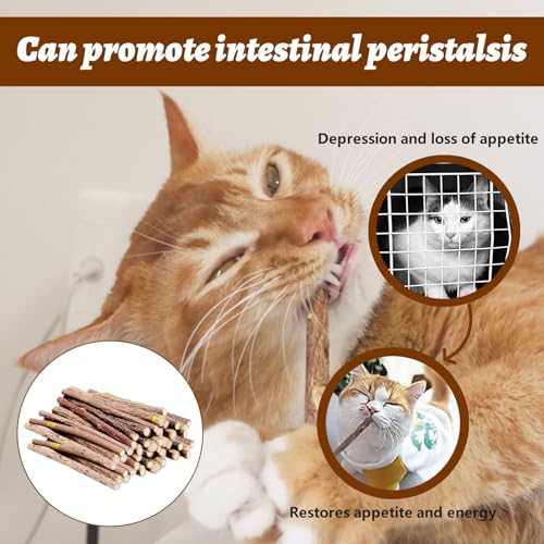 Matatabi Sticks, 30 stuks Catnip Sticks, Natural Cat Sticks, Cat Sticks, Cat Tooth Care en Tegen Mond Odor, Grinding Teeth (diameter 5-7 mm) 4