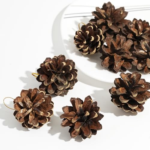 Nature Pine Cones Kerstmis Pine Cones Ornament met Cord Rustieke Sneeuw dennen kegels hangen Pine kegels ornamenten voor de herfst Thanksgiving Winter kerstboom decoraties (Brown) 4