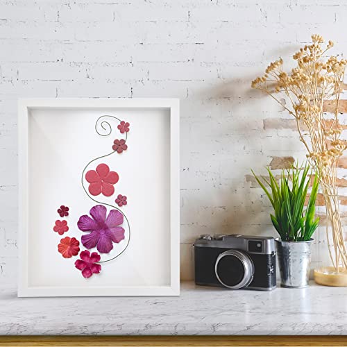 3D Afbeelding Frame voor het vullen, 3D Diep Object Frame A4 Shade Box Display Case Frame met Transparant Acryl blad Frame Houten 3D Frame voor herinneringen, bloemen, medailles, foto (Wit, 5 cm) 5