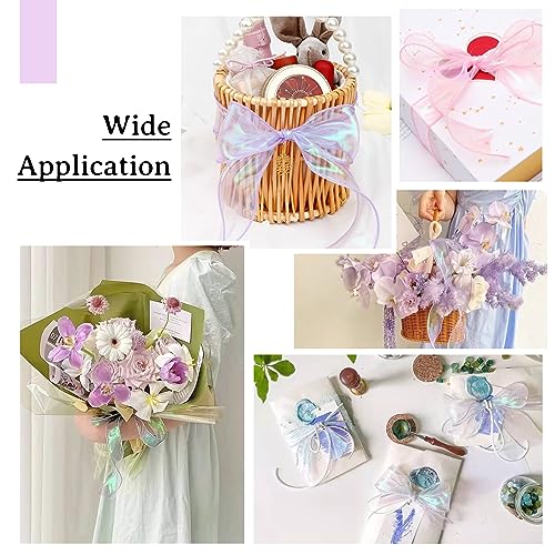 Iridecent Organza Ribbons Clear Chiffon Ribbon Shimmer Sheer Regenboogkleur 43MM Gift Wrapper Ribbon Christmas Wedding Boeket Decoratie Ribbon Bow Ribbon 3