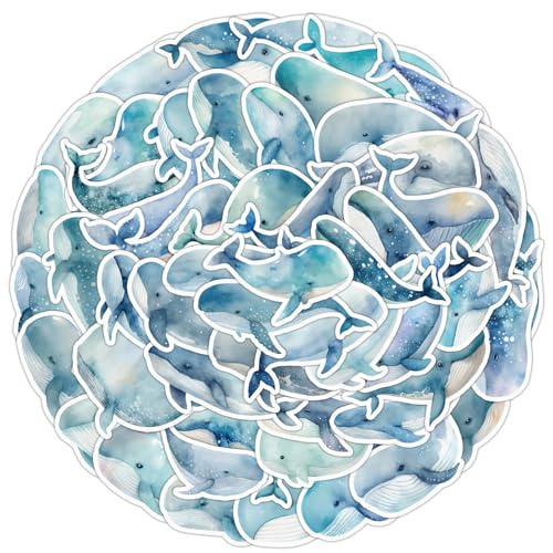 50 stuks walvissticker set, walvissticker set, waterdicht voor auto, motorfiets, fiets, skateboard, snowboard, bagage, laptop, koffer, helm, motorfiets, computer