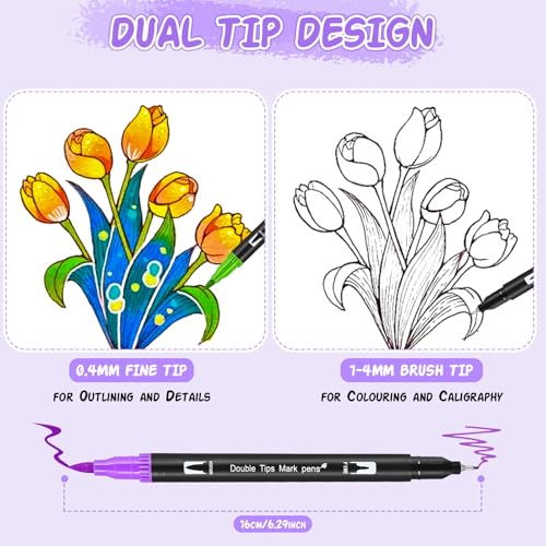 Penseel Pen Lettering 24 Kleuren - Vilt Tip Pennen met grote fijne tip, Dual Tip Pen Stabilo, Kleurrijke Pennen voor aquarelkleuren, voor dagboek, schilderen, kleuren 3