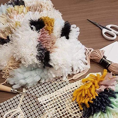 Transparant kunststof mes Canvas Kit Mesh DIY Tapijt Canvas Tapijt maken Stof Canvas Tapijt ESH Breivels voor Borduren 50x50cm 4