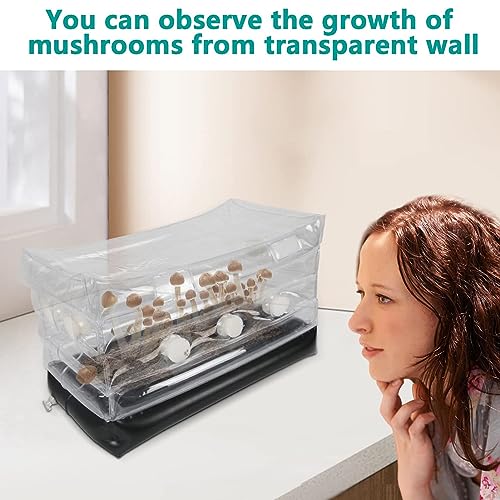 Paddestoelmonotub Groei Kit Opblaasbare Paddestoel Groeidoos voor thuis, eenvoudige opslag, grote grootte, Ideaal voor Paddestoel Groeien, Store uw paddestoel Grow Bags 4