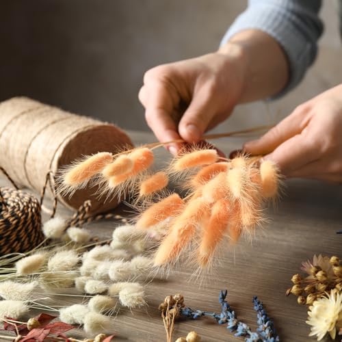 15,7 Inch Bunny staarten gedroogde bloemen, 80 stuks Pampas Grass decoratie Konijn staart Natuurlijke Pampas Gras Losse Fluffy gedroogde Pampas gras, paars 5