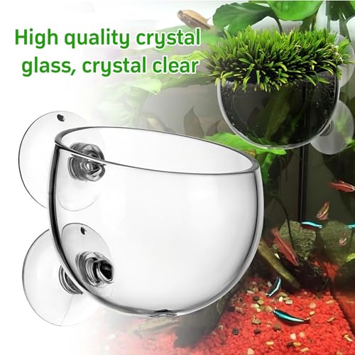 4 x Aquarium Plant Vases, 6 x 7 cm, Transparante Vaas voor Aquatische Planten met 8 Zuigbekers, Garnalen Voederbekers, Mini Glazen Bekers voor Aquascape, Hydroponische Planten, Decoratieve 5