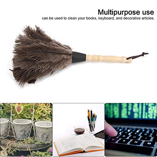 Mini Ostrian Veerstofzuiger met houten handvat Wasbaar reinigingsgereedschap voor boeken, Keyboard Office Home 4