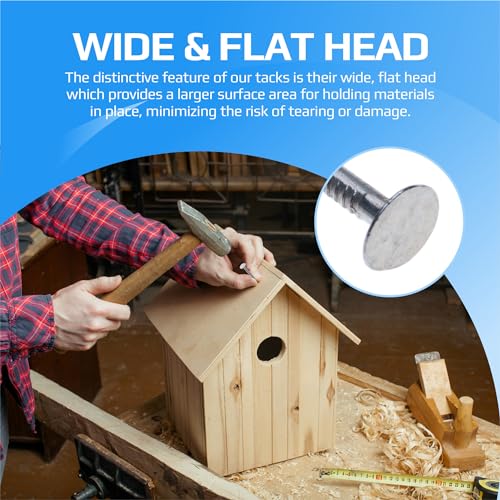 Clout Nails Gegalvaniseerd met Extra Large Head (Pack van 100 stuks) Gegalvaniseerde Lange Nails voor DIY en ambachten, Home Decor, Houtbewerking, Meubilair en Bouw Grootte: Lengte 25mm Shank Diameter2,5mm 4