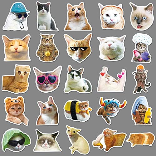 Meme Cat Sticker Set Stickers Kids Tieners 50 stuks Dieren Waterdichte Vinyl Stickers Laptop Skateboard Koffer Helm Auto Fiets mobiele telefoon Motorrijwiel Scrapbook