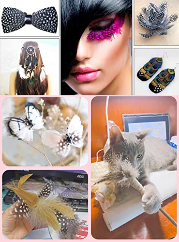 100 st. Natuurlijke Parel Kip Veren voor het knutselen, Natuurlijke Veren, Kip Veren, Hoofd sieraden Veren voor DIY Kunstwerk, Oorbellen, Droom Catcher, Manicure, Valse Eyelash Hoeden, Maskers, Haarsieraden, Natuurlijke Kleur 3