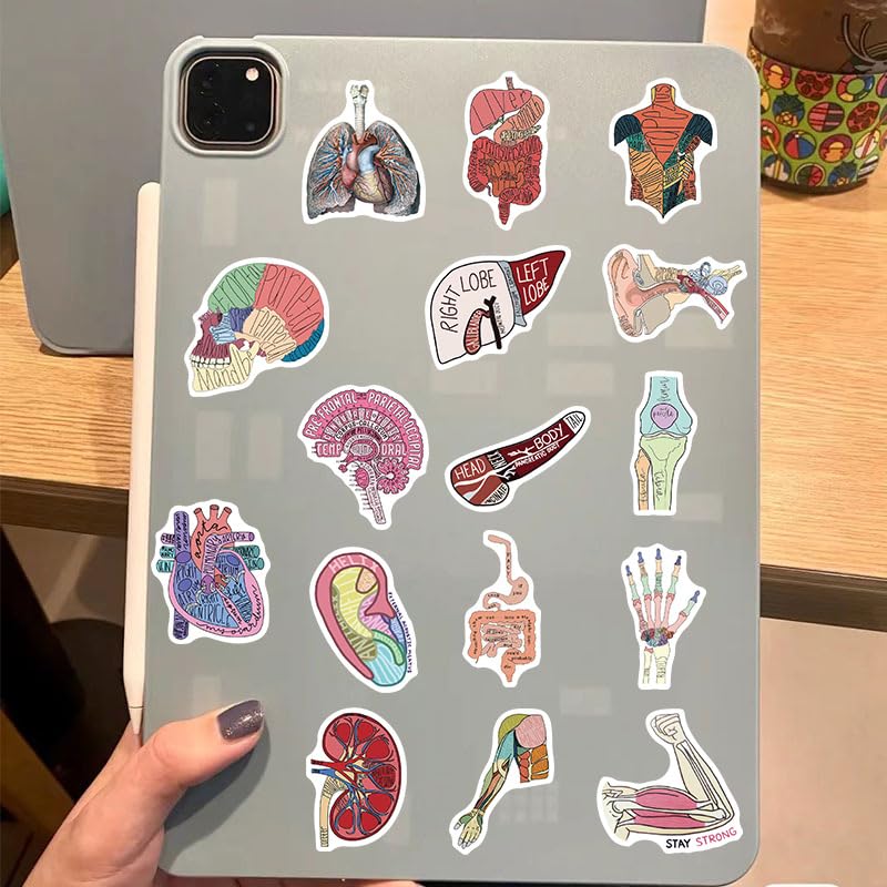 Anatomie van de Organen Sticker Set Stickers Kids Tieners 50 stuks waterdicht Vinyl Decals Laptop Skateboard Koffer Helm Auto Fiets mobiele telefoon Motorrijwiel Bike Scrapbook Cadeaudagboek 5