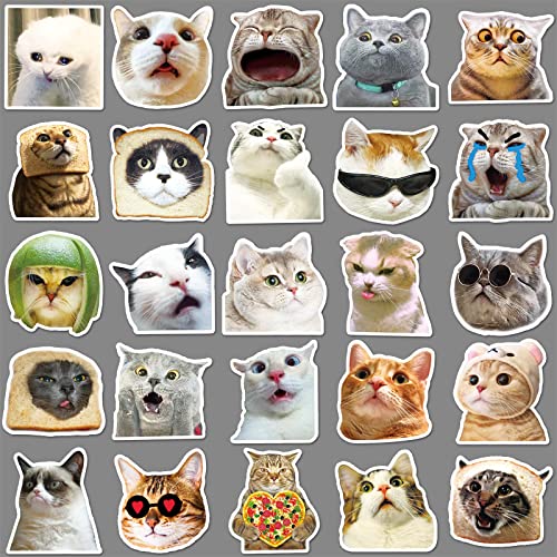 Meme Cat Sticker Set Stickers Kids Tieners 50 stuks Dieren Waterdichte Vinyl Stickers Laptop Skateboard Koffer Helm Auto Fiets mobiele telefoon Motorrijwiel Scrapbook 4