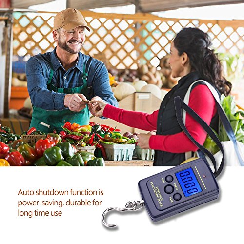 Visschaal, digitale schaal, vissen, digitale kofferschaal, elektrische bagageschaal, handschaal, visschaal, zakgrootte, digitale WH-A01L, 40kg, draagbare digitale ophanging 3