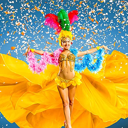 Fluffy veer boa voor ambachten, veer boa, lengte 200 cm, veer sjaal, kalkoen veer, kostuum accessoires, Halloween ambachten, bruiloft decoratie, veer gestolen kostuum, carnaval, thema feest