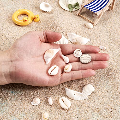 210st/doos Natuurlijke Shell Hangers Kralen 7 Style Ocean Beach Seashell Charms Geborstelde Shell Kralen voor ketting armband Wind Chimes Vis Tank Home Party 4