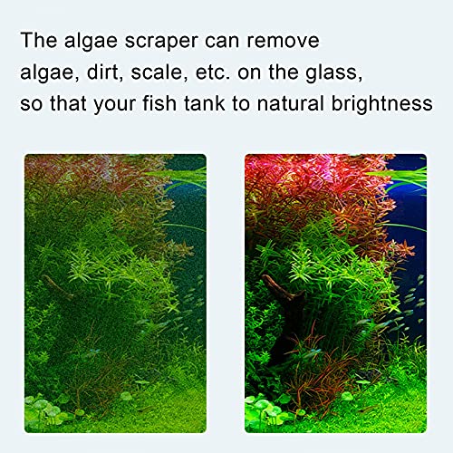 Aquarium Algenkrabber, Long Handle Cleaning Tool en Verwisselbare Blades, voor Visglas (Standard Scraper)
