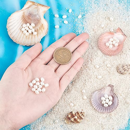 2 Strands Natural Cultured Zoetwater Parel kralen, 4-5mm Natural Oval Zoetwater Parel kralen voor DIY ambachten het maken van sieraden armbanden ketting oorbellen, Rijst, Romig Wit 5