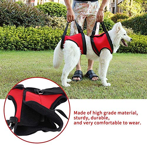 Hond ondersteuning Harnas, Huisdier Running Aid Lifting trekken Vest Sling ondersteuning Revalidatie Outdoor en gezonde Grooming Tool voor Oude & gewonde honden (L, Hind Leg)