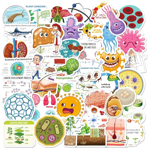 Fysica, Chemie, Biologie Stickers voor tieners en volwassenen, 50 stuks, Experiment, Student, Vinyl Sticker Set, Auto, Motorfiets, Fiets, Skateboard, Snowboard, Bagage, Laptop, Koffer, Helm