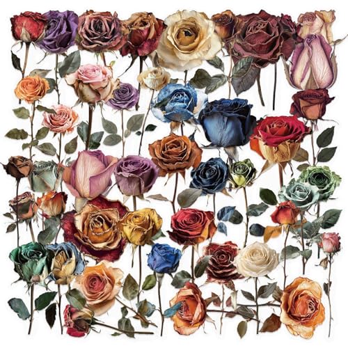 Droge bloemen Stickers voor tieners en volwassenen, Verpakking van 50, Droge bloemen PET Vinyl Sticker Set, Auto, Motorfiets, Fiets, Skateboard, Snowboard, Bagage, Laptop, Koffer, Helm, Motorfiets, Computer