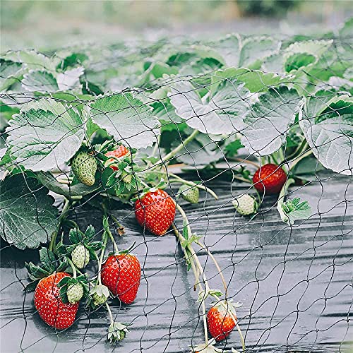 Vogelnet, Pond Net, 7 x 15 m, Geweven Net, Zwart, Robuust Net voor Tuin Planten Fruit Bloemen Groenten Hold Vogels Herten Dieren 4