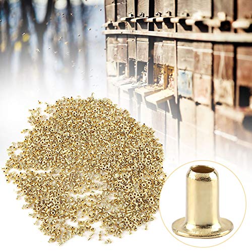 1000/1000 st. Bijenteeltgereedschappen bijenkorf messing nestlijst ogen bijenkorf nest doos imkers Hulpmiddelen voor bijenteelt (1000st) 3