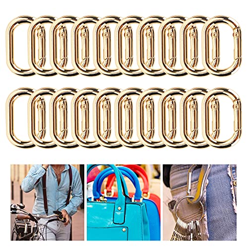 20 stuks Carabiner Hooks Oval Carabiner Hooks Klimgesp 20 x 31mm Clip Sleutel Ketting Gespmetaal Sleutel Ring gesp voor sleutelhanger kleren zakken 3