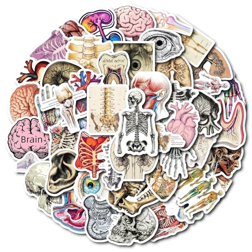 Hersenstickers voor jongeren en volwassenen, 50 stuks, brain vinyl stickerset, auto, motorfiets, fiets, skateboard, snowboard, bagage, laptop, koffer, helm, motorfiets, computer