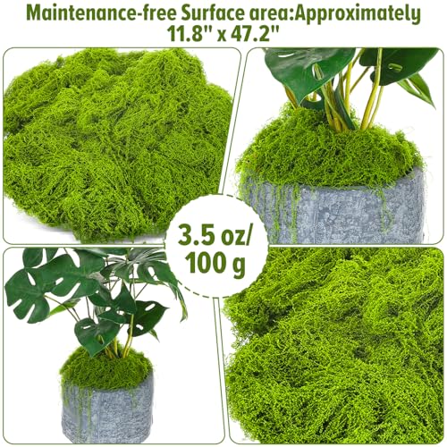100g kunstmatige mos voor ambachten, nep groene decoratie, bewaarde mos voor DIY projecten, feeëntuinen, bruiloft tafel stukken, Home Decor, partij regelingen